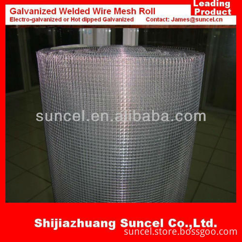 Galvanized Welded Wire Mesh